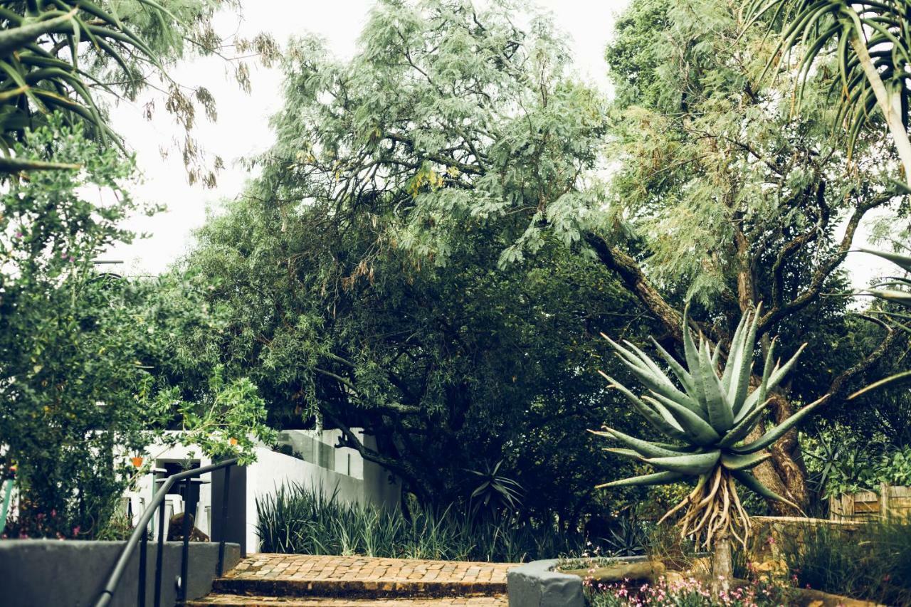 Bly B&B Pretoria-Noord Eksteriør billede